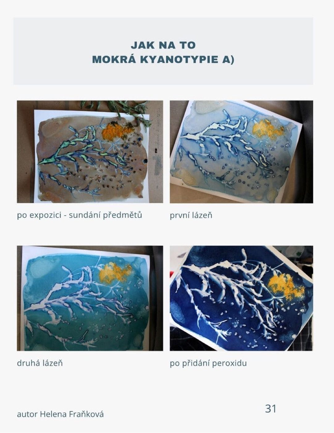 Fotopostup mokré kyanotypie