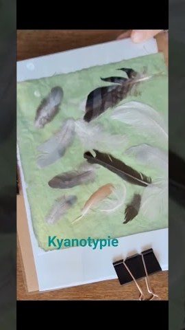 Náhled videa: kompozice s peříčky